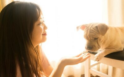 Is It Ok If My Dog Licks Aquaphor?